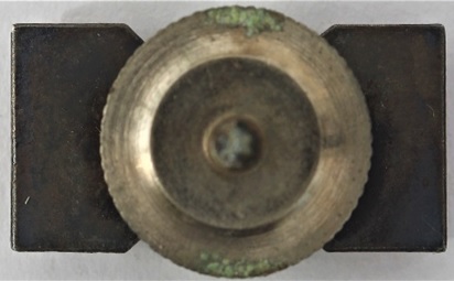 Kurume   City Award Medal 久留米市功労章.jpg