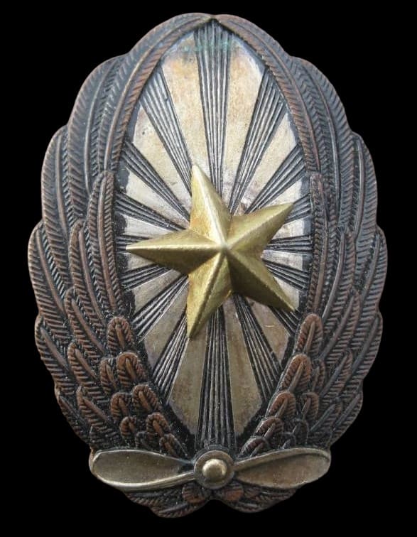 Late War Japanese Army Pilot Badge.jpg