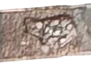 Mark.jpg
