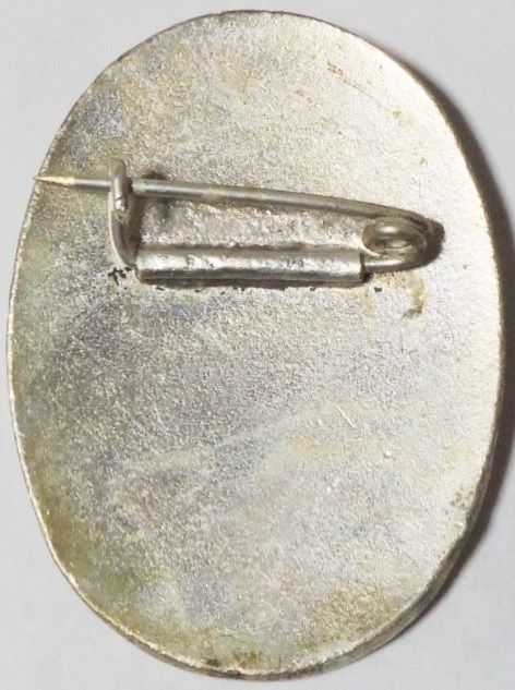 Member of Hygiene Committee Badge 日本赤十字社 衛生委員章.jpg