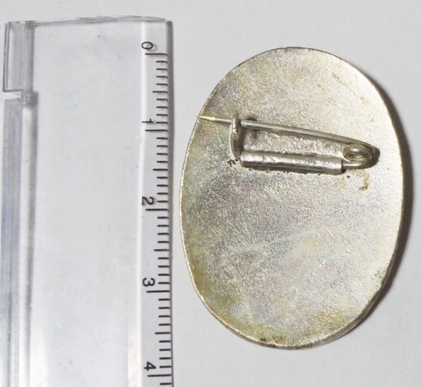 Member of Hygiene Committee Badge 日本赤十字社 衛生委員章.jpg