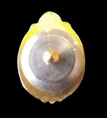 Miniature Copy  of Japanese Marshal Badge.jpg