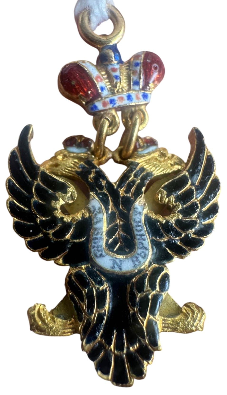 Miniature of the Order of St. Andrew the First  Called.jpeg