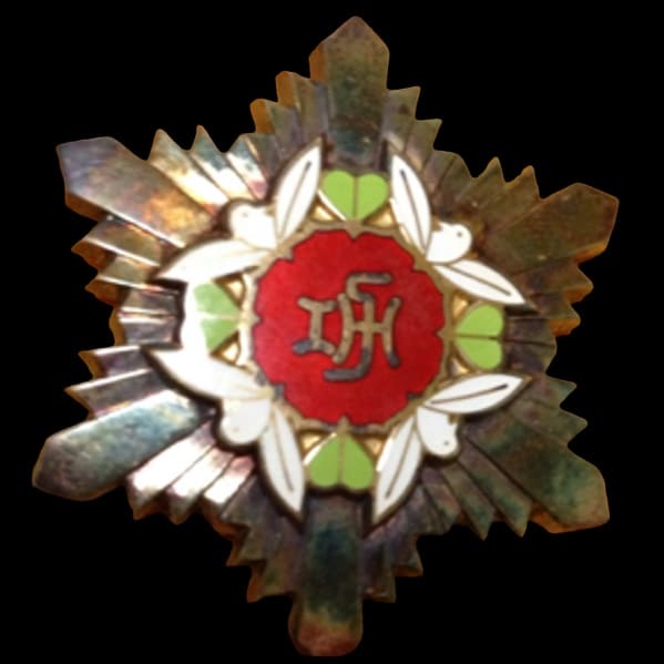 Minister of Health and Welfare Meritorious Service Badge.jpg