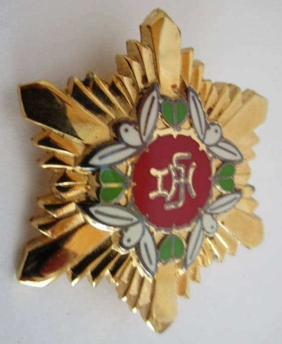 Minister of Health and Welfare Meritorious Service Badge.jpg