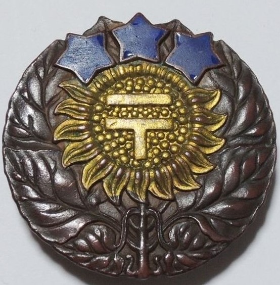 Ministry of Communications Grade C 1st class Badge.jpg