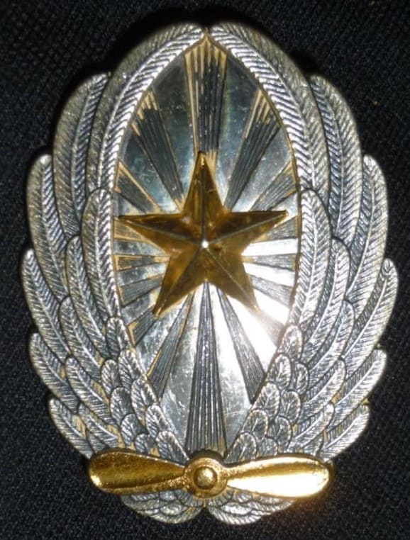 Nakata-made copies of army pilot  badge.jpg