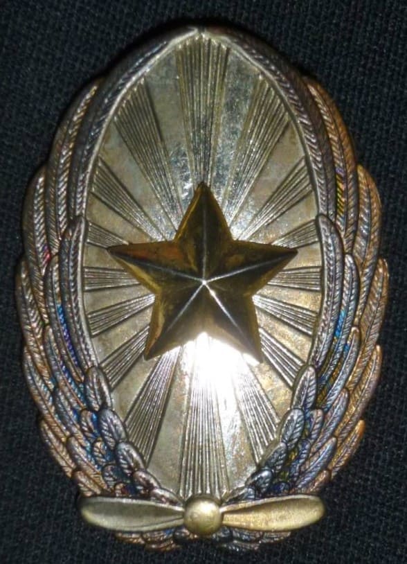Nakata-made copies of army pilot badge.jpg
