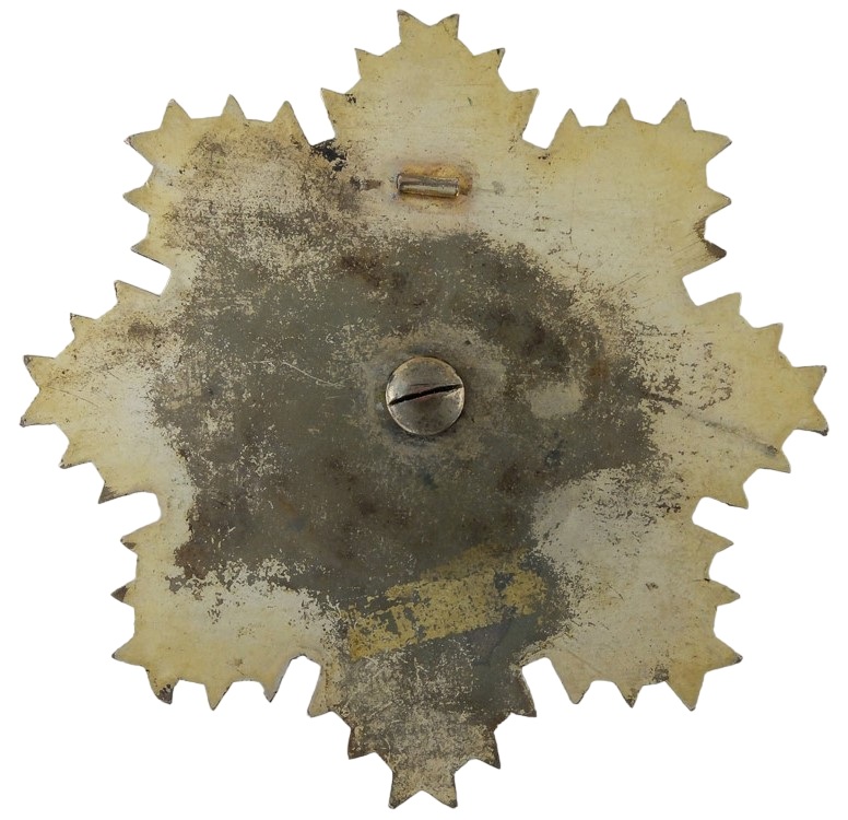 Nanpi County Shupo Garrison  Propaganda Award Medal.jpg