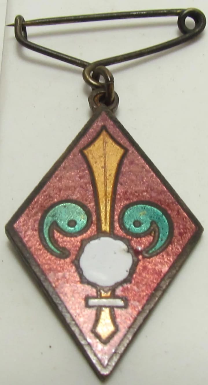 National Foundation Society Badge 建国会徽章.jpg