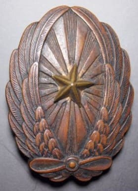 Non-commissioned Officer's Pilot Badge.jpg