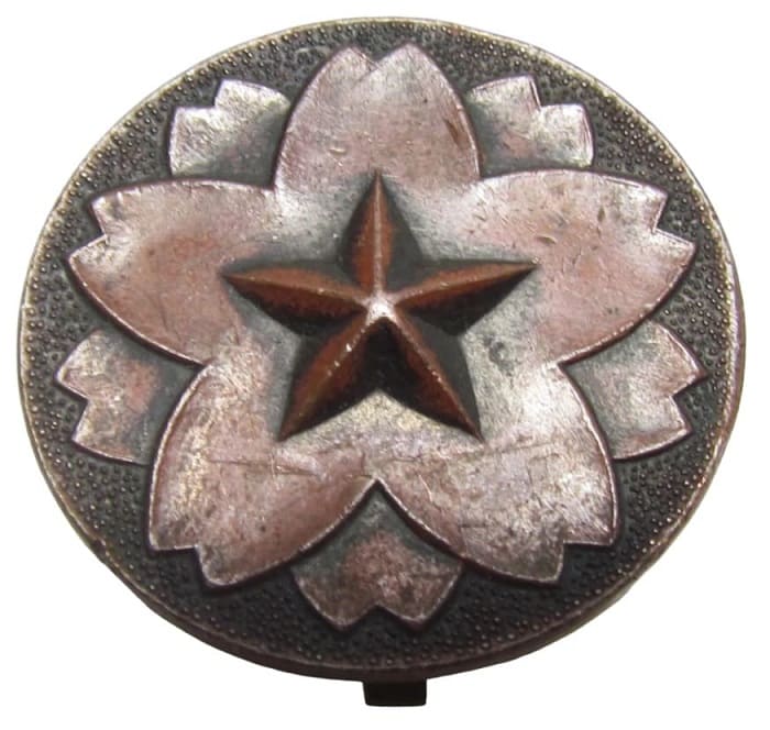Non-Enlisted Replacement Soldier Military Training Badge.jpg