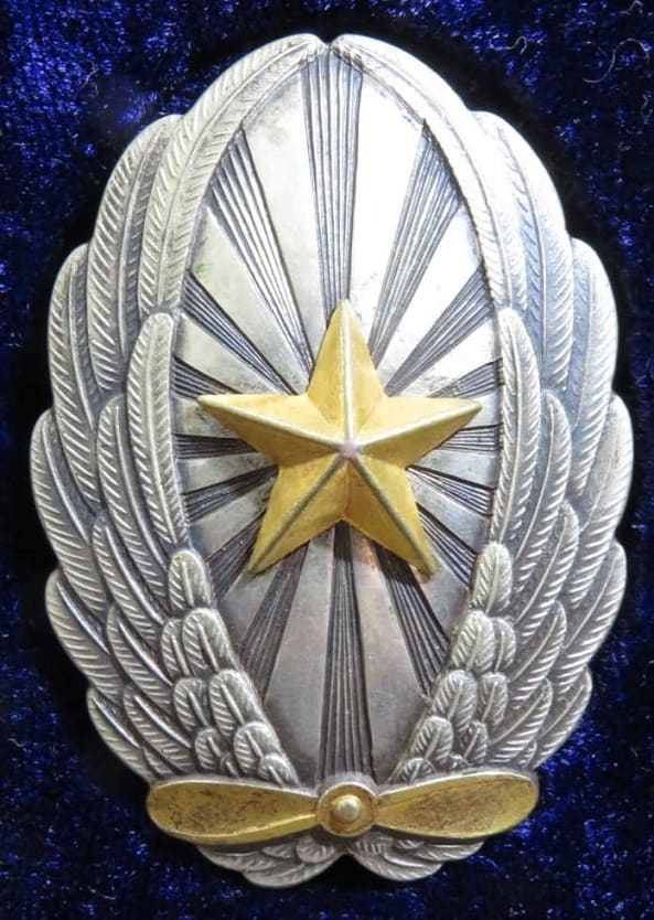 Officer's Pilot Badge 将校用操縦徽章.jpg