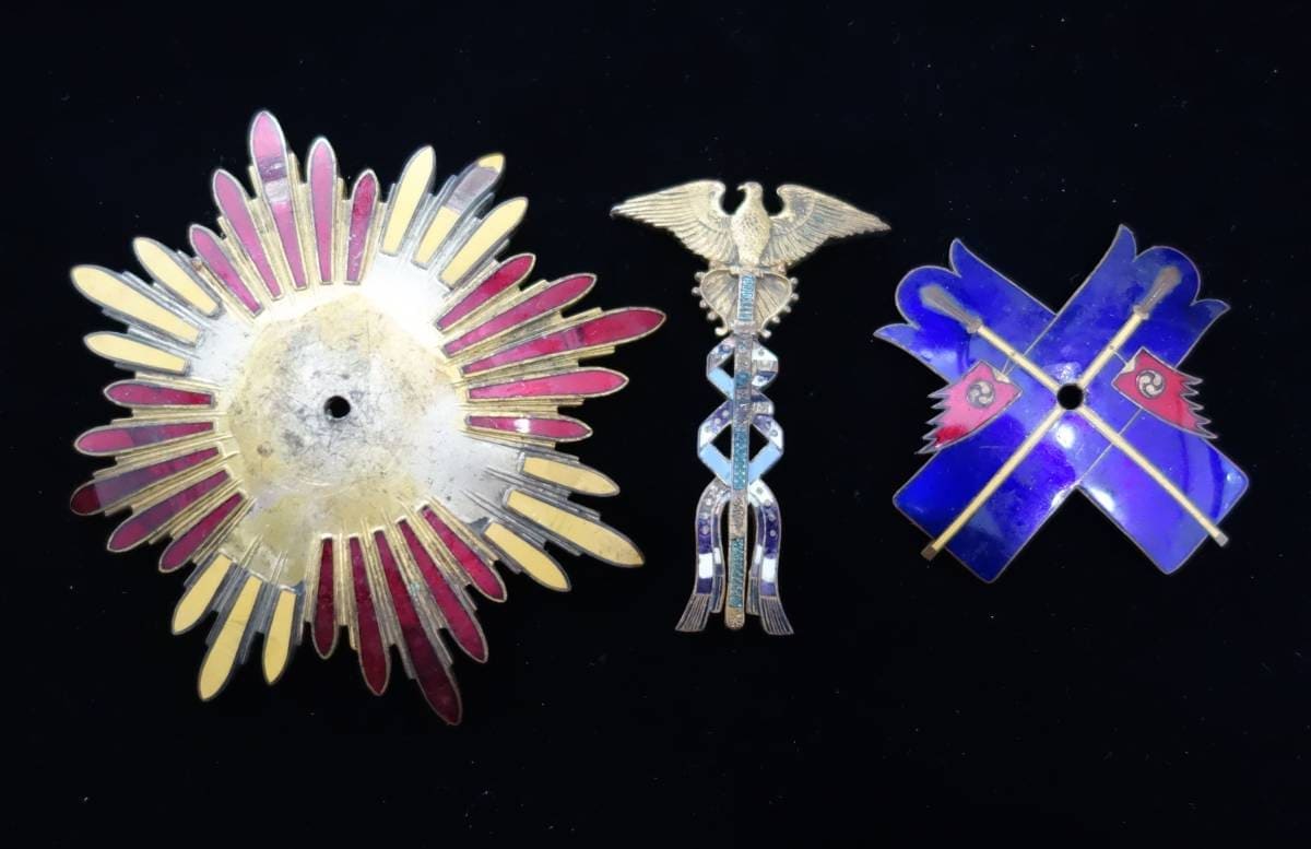 Order of the Golden Kite Fake Breast  Star.jpg