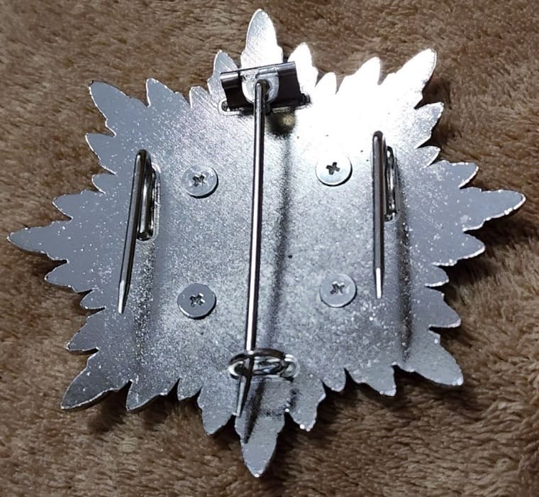 Order of the  Golden Kite Fake breast star.jpg