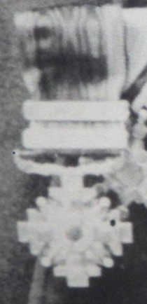 Order of the Pillars of the State..jpg
