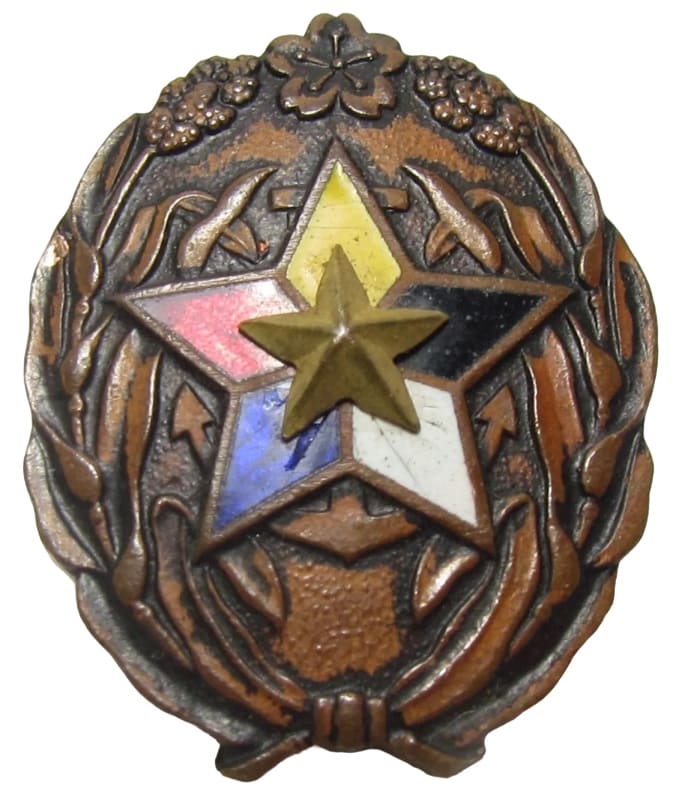 Ordinary [Common] Supporter's Badge.jpg