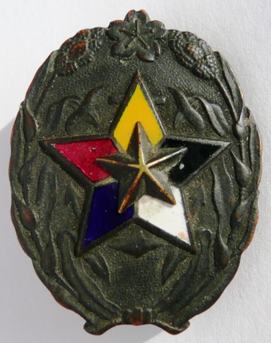 Ordinary supporter member badge..jpg