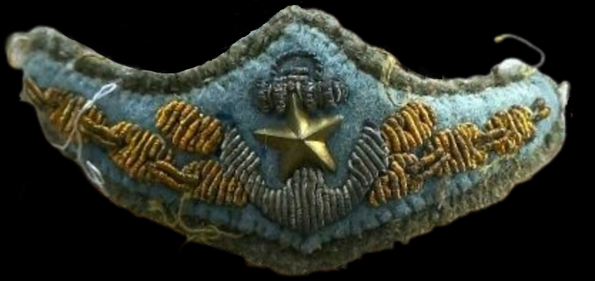 Original Wing.png