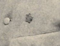 Photo with Uknown   japanese Badge.jpg