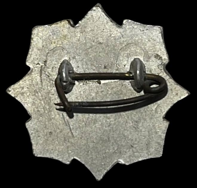 Physical  Fitness Examiner Badge 検定員体力章.jpg