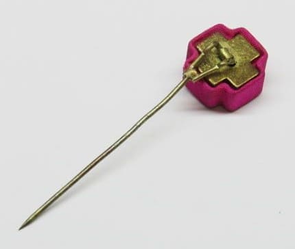 Pin..jpg