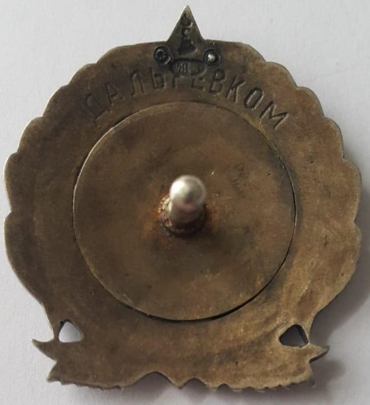 Поддельный Знак  За экспедицию на остров Врангеля  1924 год.jpg