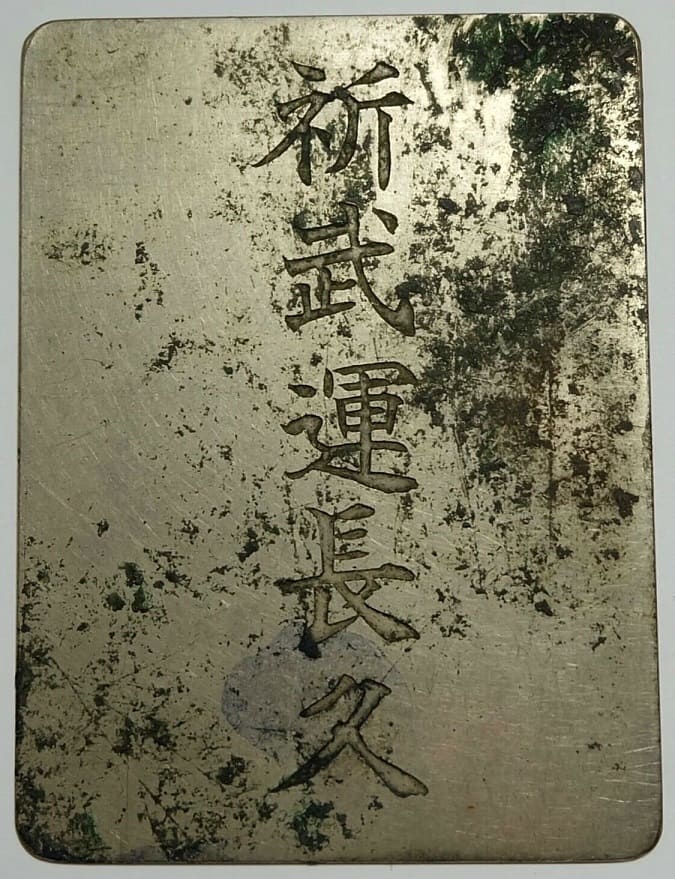 Protective Iron Plate on the Heart.jpg