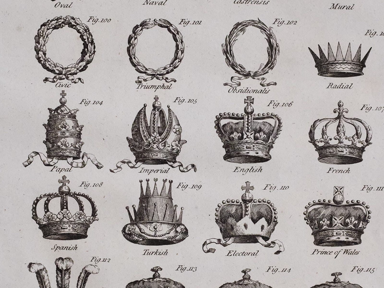 Quick Crown Identifier..jpg
