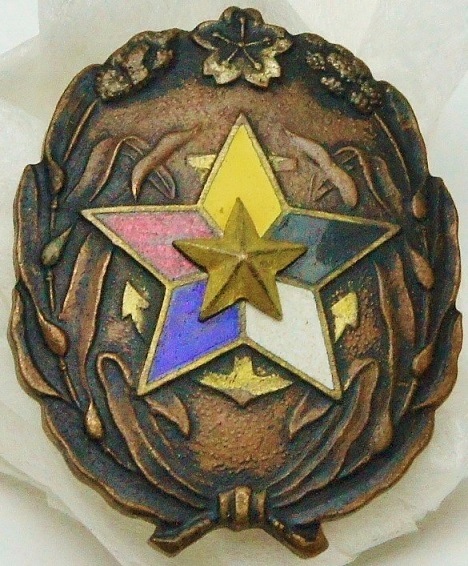 正賛助員章 Regular Supporter's badge.jpg