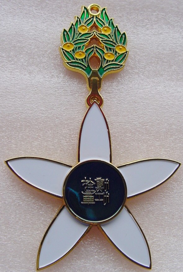 Replicas and Fakes of the Culture  Order.jpg