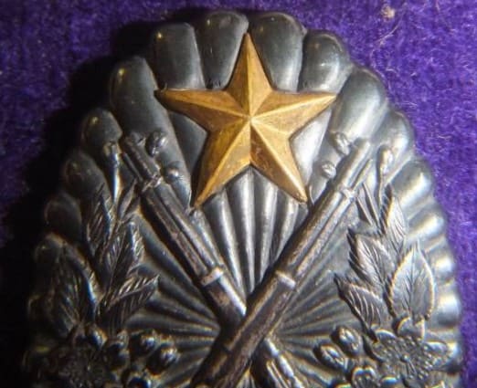 Rifle Shooting   Qualification Badge 小銃射撃適任章.jpg