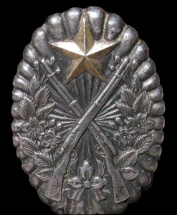 Rifle Shooting Qualification Badge.jpg