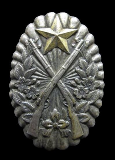 Rifle Shooting Qualification Badge.jpg