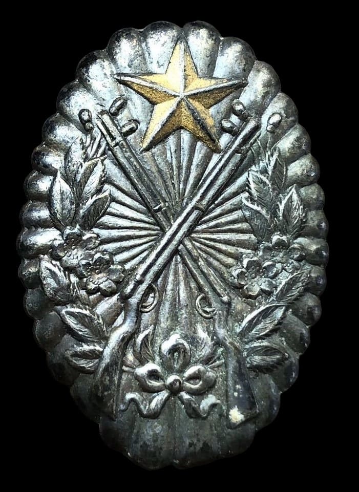 Rifle Shooting Qualification Badge.jpg
