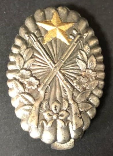 Rifle Shooting Qualification Badge.jpg