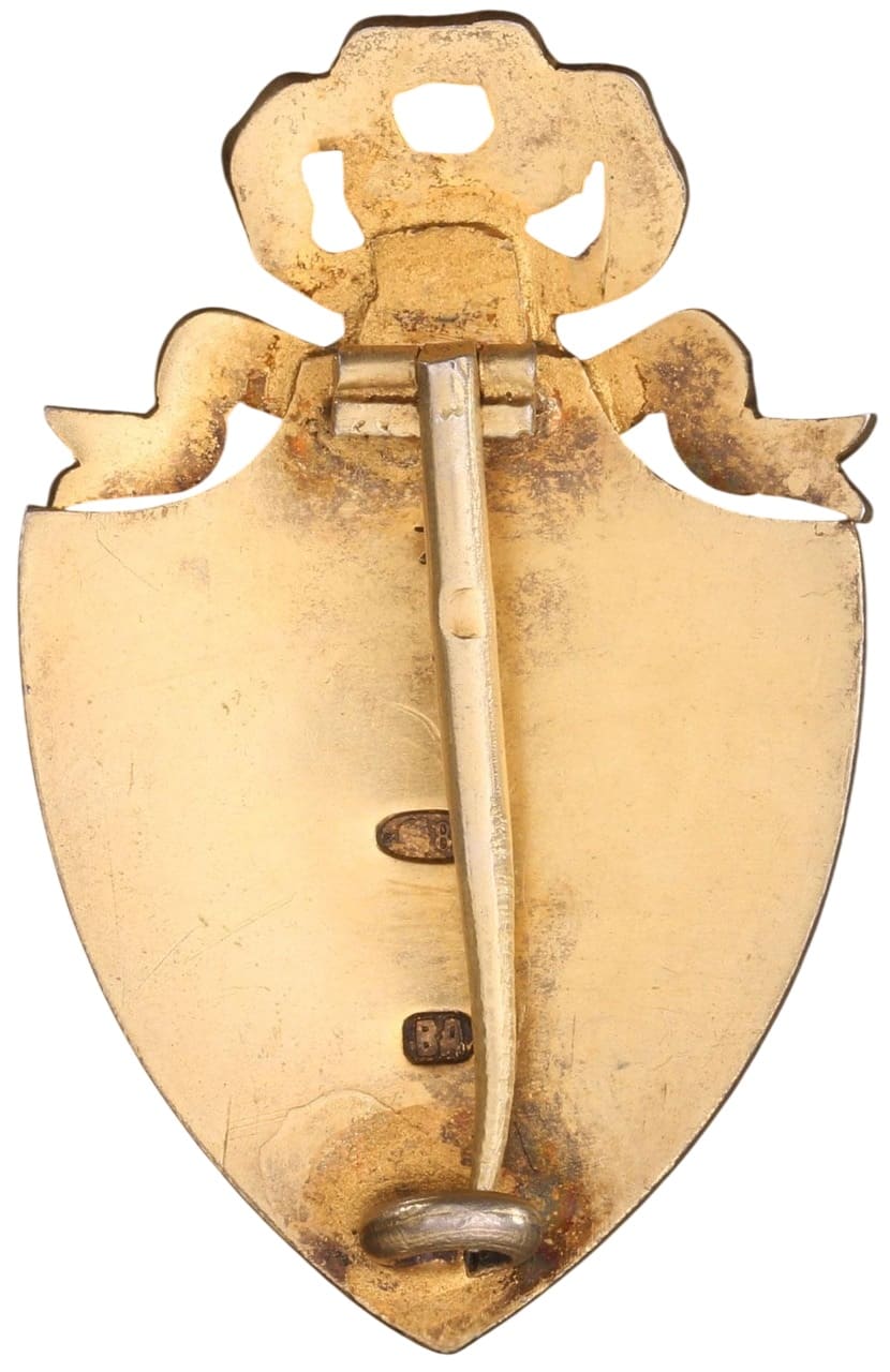 Russian Red Cross Society Provisional Government Badge made by Eduard.jpg