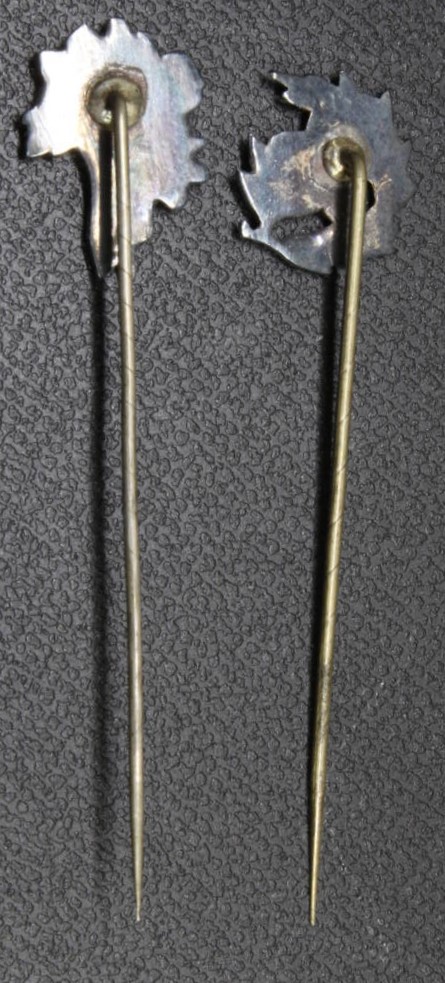 Russo-Japanese War Commemorative Pins 明治三十七八年日露戦役 記念章.jpg