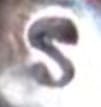 S.jpg
