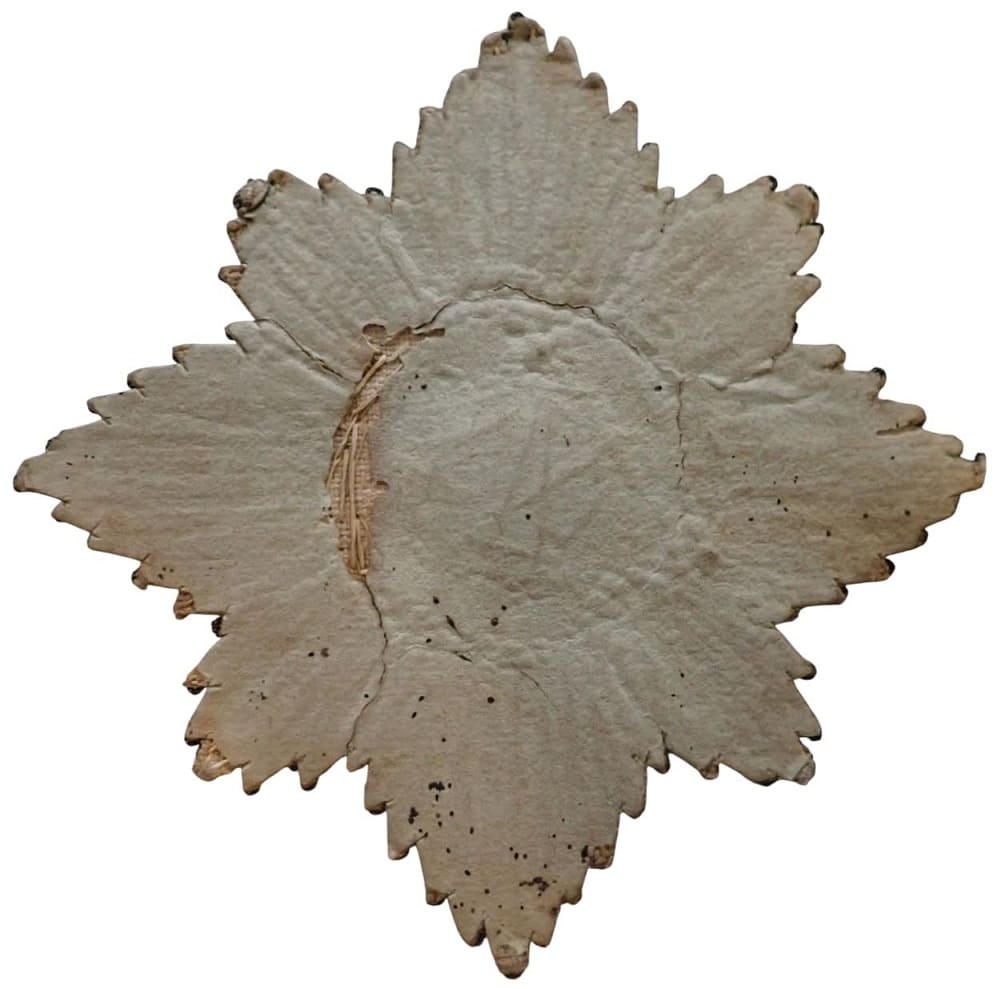 Saint Andrew Order Embroidered Breast  Star.jpeg