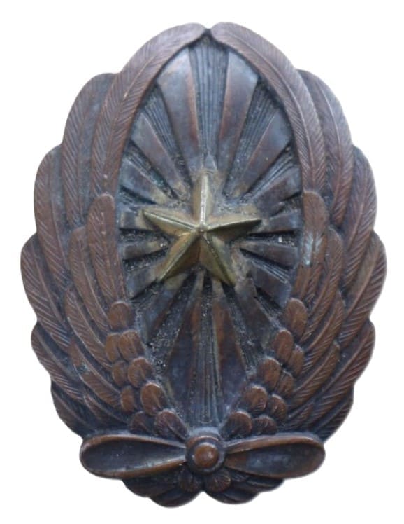 Salty Army Japanese Pilot Badge.jpg