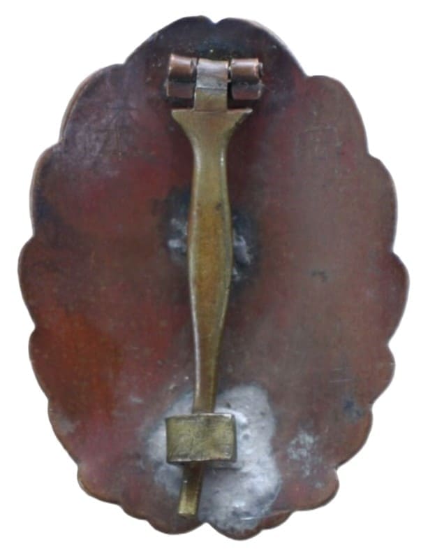 Salty Army  Japanese Pilot Badge.jpg