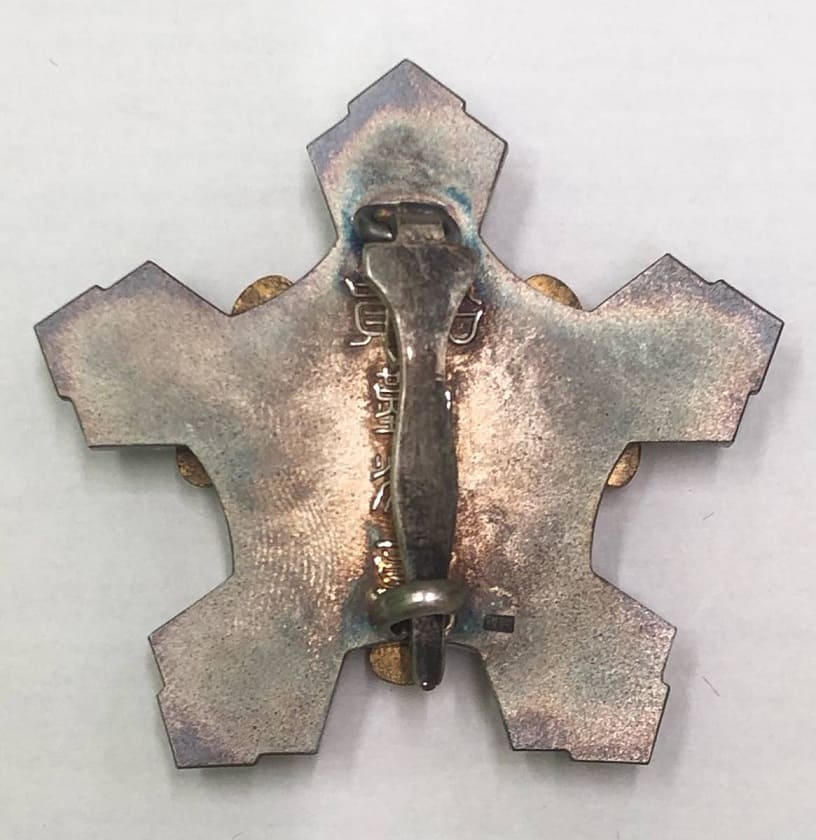 Seaman's   Diligence Badge  and  additional inscription 海務院.jpg