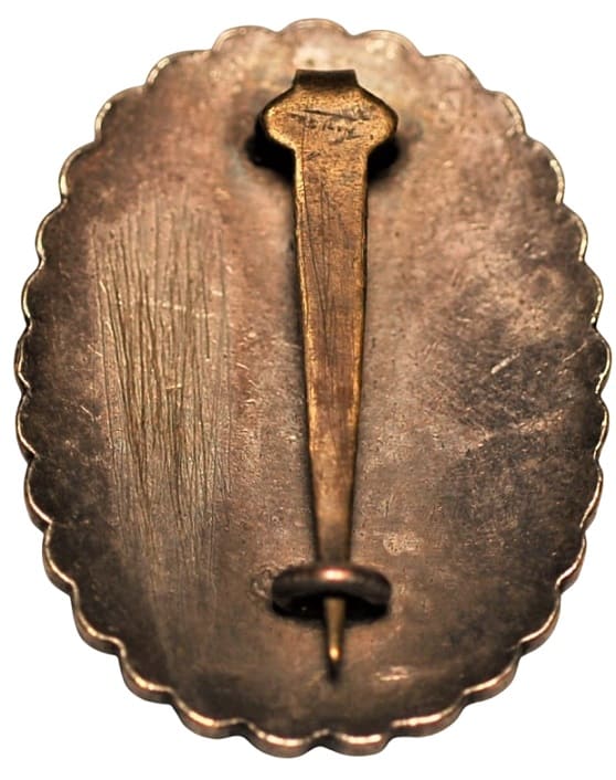 Seinishi Air Defense Group Badge 防空清西班章.jpg