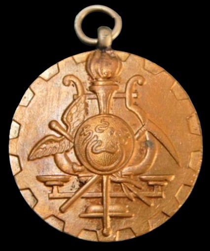 新愛知新聞社  Shin-Aichi Shimbun Badge.jpg