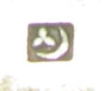 Special Member Badge of Nakagawa Village Branch  of Association.jpg