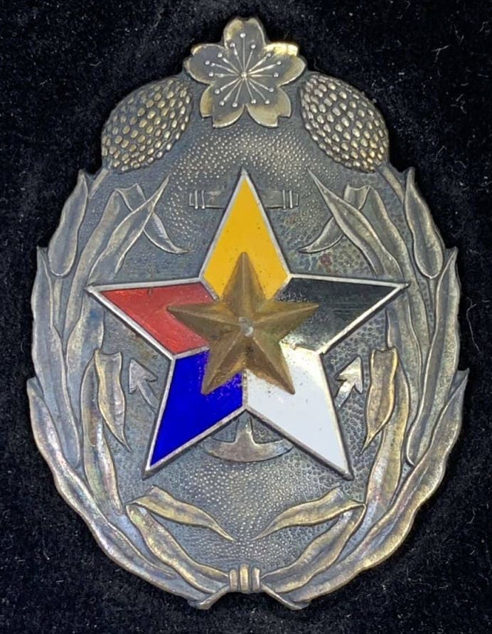 Special meritorious supporter member badge.jpg