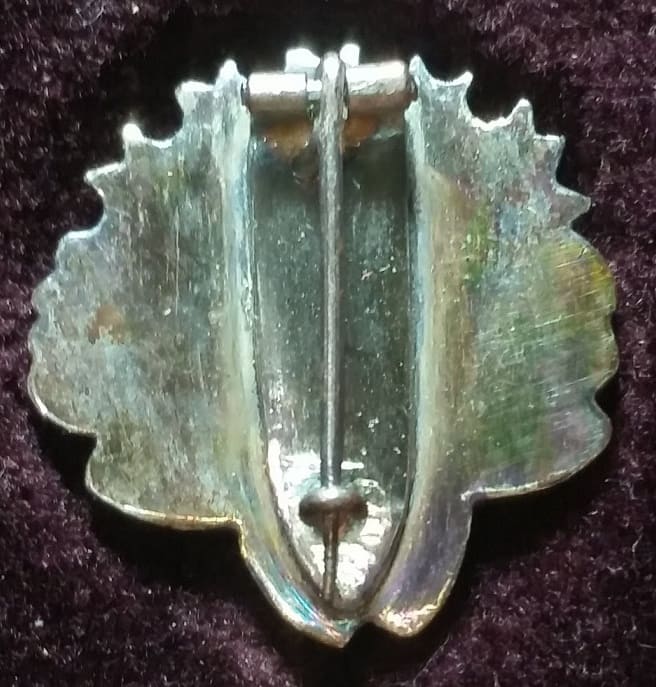 Special  Patron Member's Badge 特別贊助會員章.jpg