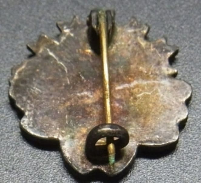 Special Support Member's Badge    特別賛助員章.jpg