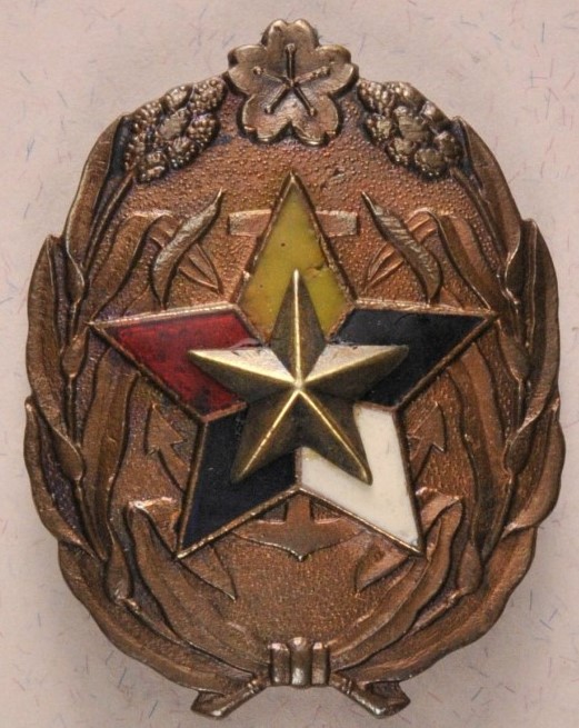 Special supporter's badge.JPG
